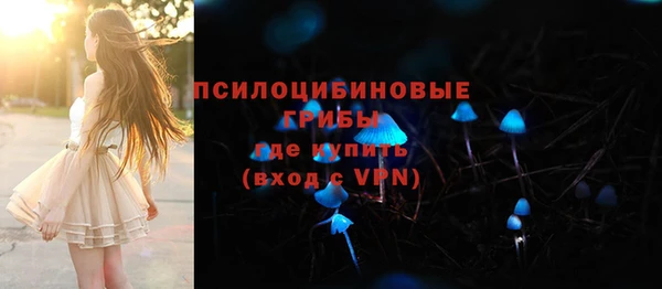 мет Дмитриев